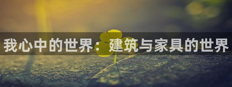 先锋娱乐软件：我心中的世界：建筑与家具的世界