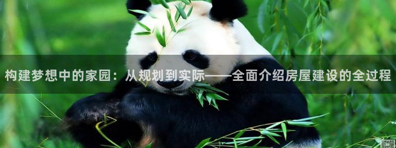 先锋娱乐管理集团：构建梦想中的家园：从规划到实际——全面介绍房屋建设的全过程