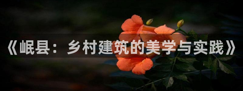 先锋娱乐播报：《岷县：乡村建筑的美学与实践》