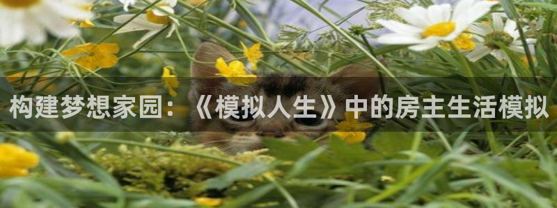 先锋娱乐入口：构建梦想家园：《模拟人生》中的房主生活模拟