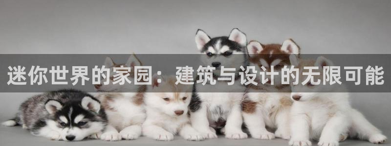 先锋娱乐侠：迷你世界的家园：建筑与设计的无限可能