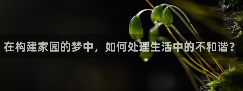先锋综合娱乐：在构建家园的梦中，如何处理生活中的不和谐？
