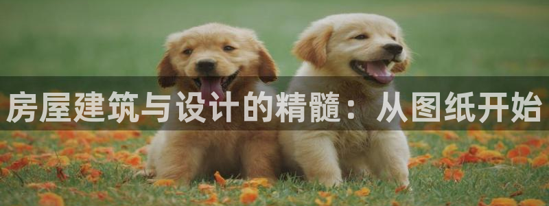 怎么下载先锋娱乐大厅：房屋建筑与设计的精髓：从图纸开始