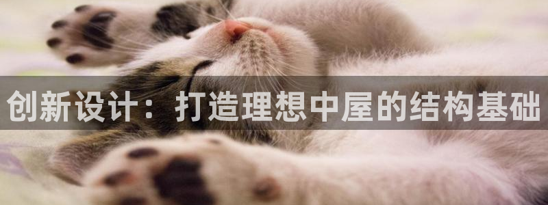 先锋娱乐注册：创新设计：打造理想中屋的结构基础
