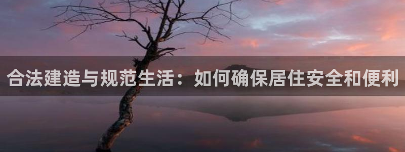 先锋方舟娱乐集团：合法建造与规范生活：如何确保居住安全和便利