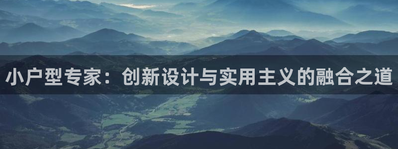 先锋娱乐大厅透视：小户型专家：创新设计与实用主义的融合之道