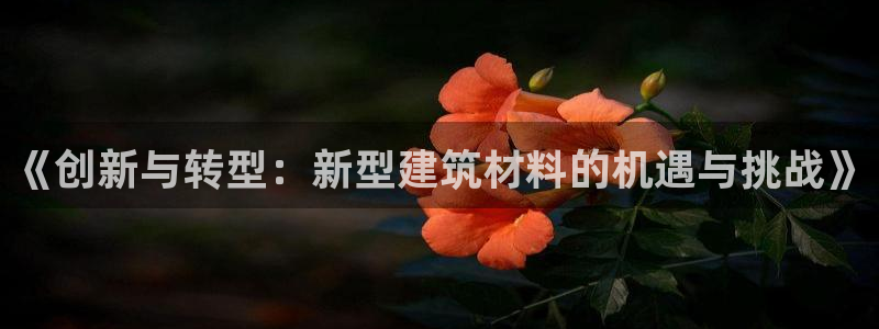 先锋娱乐大厅牛牛：《创新与转型：新型建筑材料的机遇与挑战》