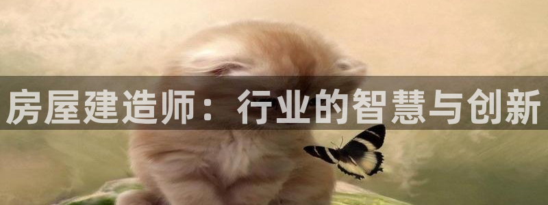 先锋娱乐提现多久到账：房屋建造师：行业的智慧与创新