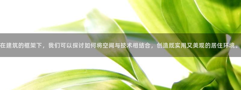先锋娱乐邀请码多少位啊：在建筑的框架下，我们可以探讨如何将空间与技术相结合，创造既实用又美观的居住环境。