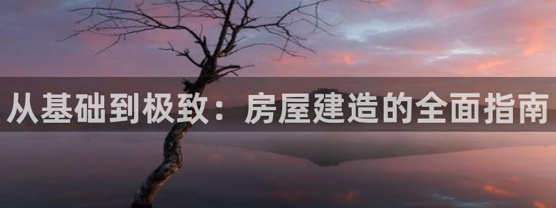 先锋娱乐炸金花：从基础到极致：房屋建造的全面指南