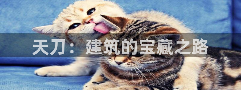 先锋娱乐提现多久到账：天刀：建筑的宝藏之路