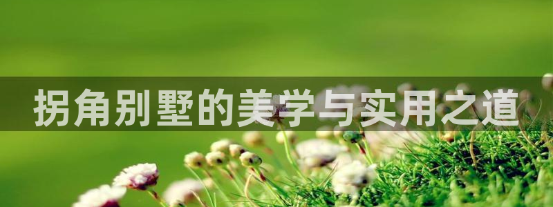 先锋电子旗下先锋娱乐：拐角别墅的美学与实用之道