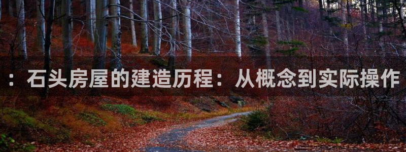 先锋娱乐垫付金额：：石头房屋的建造历程：从概念到实际操作