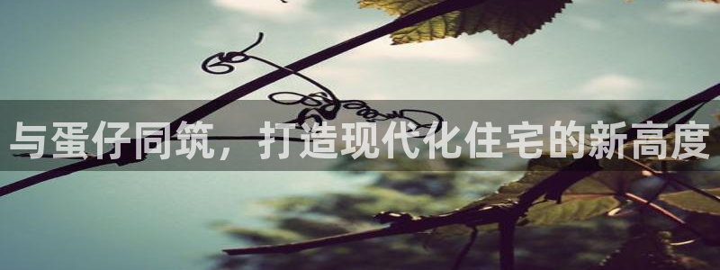 先锋国际娱乐：与蛋仔同筑，打造现代化住宅的新高度