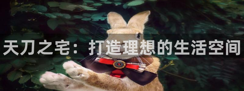先锋娱乐大厅斗牛：天刀之宅：打造理想的生活空间