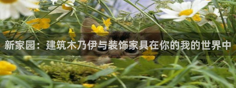 先锋娱乐社：新家园：建筑木乃伊与装饰家具在你的我的世界中