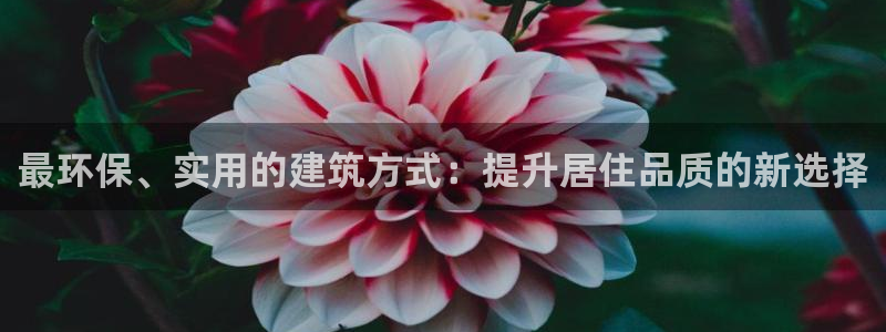 先锋娱乐账号注册不了：最环保、实用的建筑方式：提升居住品质的新选择