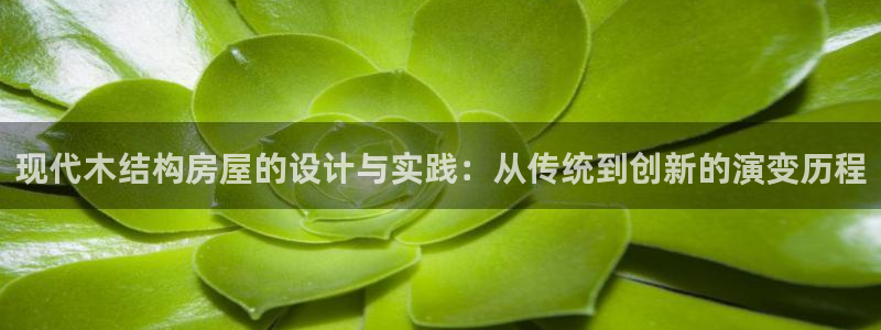 先锋娱乐大厅首页：现代木结构房屋的设计与实践：从传统到创新的演变历程