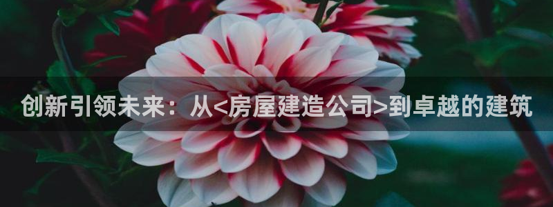 先锋娱乐网67xf：创新引领未来：从<房屋建造公司>到卓越的建筑