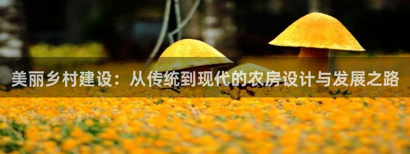 先锋电子旗下先锋娱乐：美丽乡村建设：从传统到现代的农房设计与发展之路