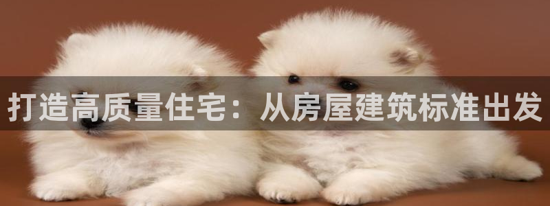 先锋娱乐平台：打造高质量住宅：从房屋建筑标准出发