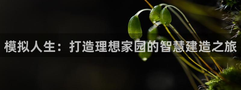 先锋娱乐链接：模拟人生：打造理想家园的智慧建造之旅
