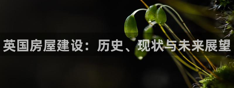 先锋娱乐体育管理集团