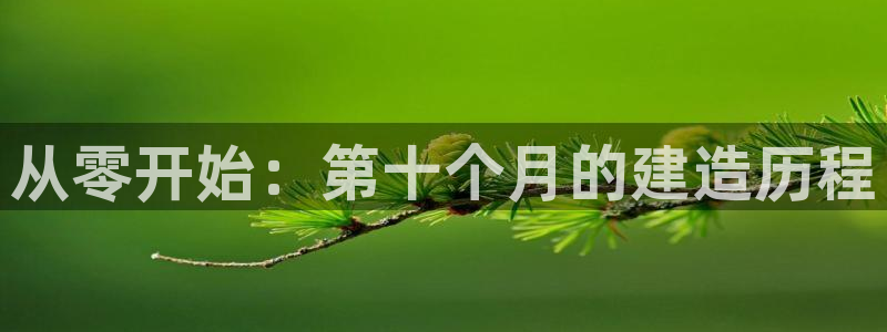 先锋娱乐情报：从零开始：第十个月的建造历程