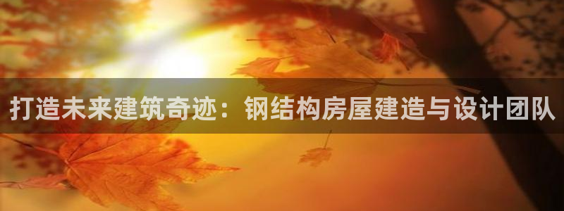 怎么下载先锋娱乐大厅：打造未来建筑奇迹：钢结构房屋建造与设计团队