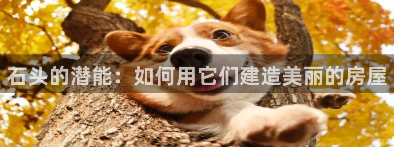 娱乐急先锋全集下载：石头的潜能：如何用它们建造美丽的房屋