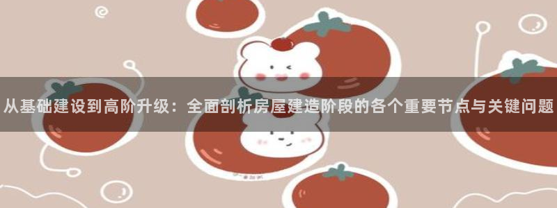 先锋娱乐传媒：从基础建设到高阶升级：全面剖析房屋建造阶段的各个重要节点与关键问题