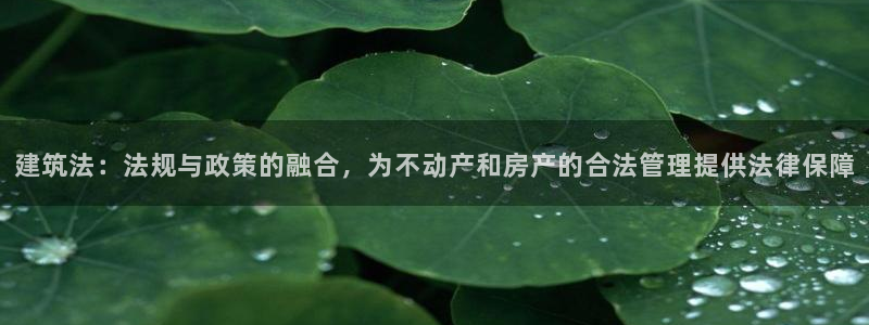 娱乐急先锋全集下载：建筑法：法规与政策的融合，为不动产和房产的合法管理提供法律保障