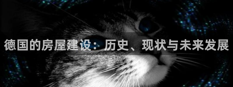 先锋娱乐注册：德国的房屋建设：历史、现状与未来发展
