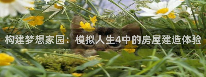 娱乐急先锋李诞甄子丹：构建梦想家园：模拟人生4中的房屋建造体验