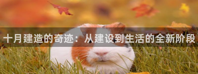 先锋娱乐大厅牛牛：十月建造的奇迹：从建设到生活的全新阶段
