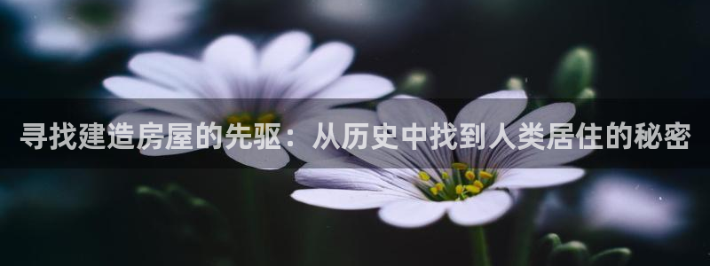 先锋娱乐游戏软件