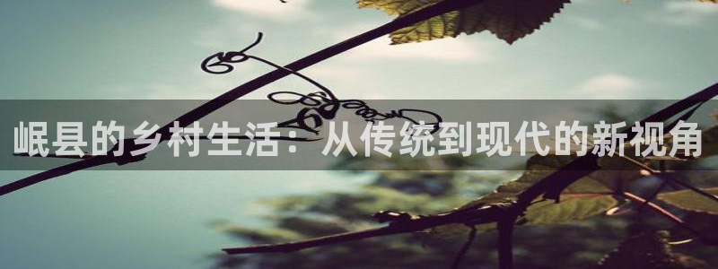 亚洲先锋娱乐跌:岷县的乡村生活:从传统到现代的新视角