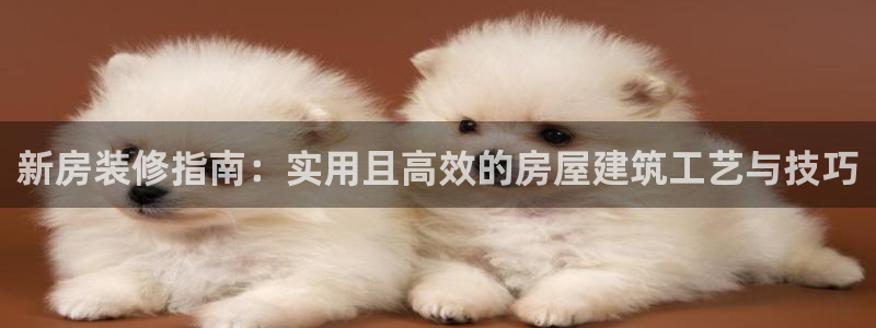 先锋娱乐游戏大厅下载:新房装修指南:实用且高效的房屋建筑工艺与技巧