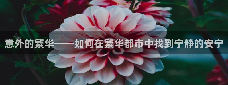 先锋娱乐链接:意外的繁华——如何在繁华都市中找到宁静的安宁