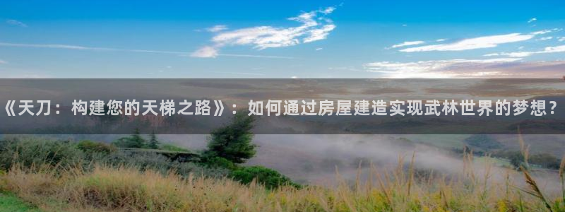 怎么下载先锋娱乐大厅：《天刀：构建您的天梯之路》：如何通过房屋建造实现武林世界的梦想？