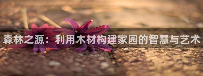 先锋游戏娱乐：森林之源：利用木材构建家园的智慧与艺术