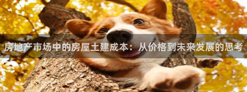 先锋娱乐平台：房地产市场中的房屋土建成本：从价格到未来发展的思考