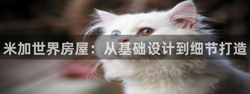 先锋综合娱乐：米加世界房屋：从基础设计到细节打造