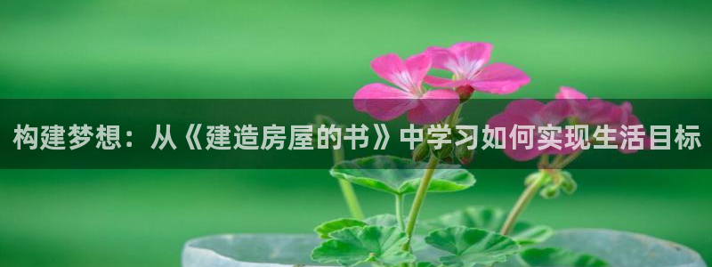 先锋娱乐体育管理集团：构建梦想：从《建造房屋的书》中学习如何实现生活目标
