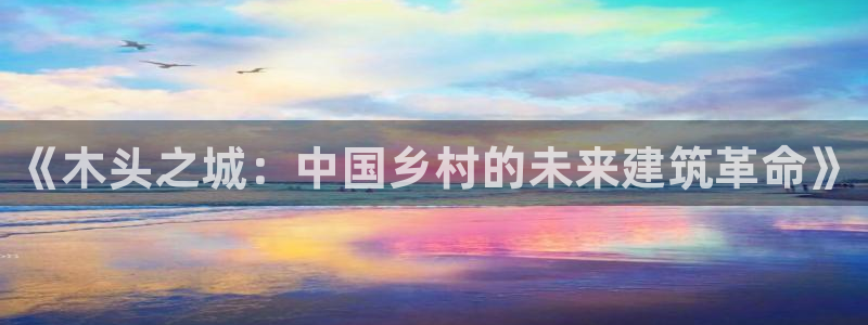 先锋互动娱乐：《木头之城：中国乡村的未来建筑革命》