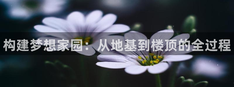 先锋娱乐情报：构建梦想家园：从地基到楼顶的全过程