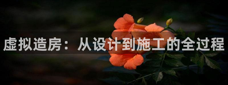 先锋娱乐平台：虚拟造房：从设计到施工的全过程