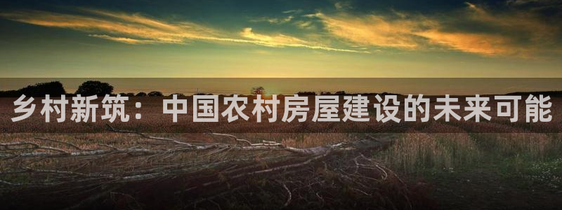 先锋综合娱乐：乡村新筑：中国农村房屋建设的未来可能