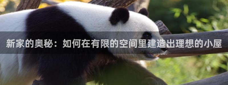 先锋娱乐管理集团：新家的奥秘：如何在有限的空间里建造出理想的小屋