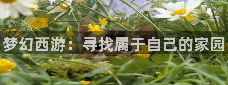 先锋娱乐播报：梦幻西游：寻找属于自己的家园